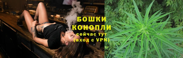 амф Пестово