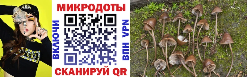 закладки  Гуково  Галлюциногенные грибы Cubensis 